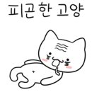 다교막국수 이미지