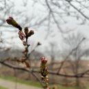 신풍교2 이미지