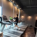 그레이짐 이미지