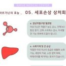 L 아르기닌 효능 효과 하루 섭취량 음식 부작용 이미지