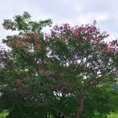 한재골(광장) 이미지