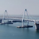 대교미트