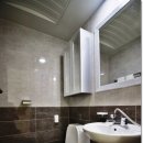 다우림 2차 이미지