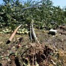 재림농장 이미지