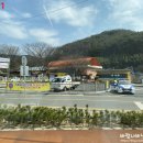 표고집하장 근처 | [의령 가볼만한 곳] 2024년 의령 가례 밭미나리 축제 다녀온 후기