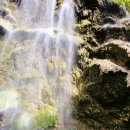 거북이행복어촌체험휴양마을 | 세부 여행 필리핀 세부 오슬롭 고래상어 투어 모알보알 예약