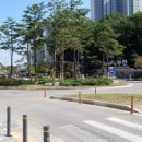 스타정육점 이미지