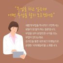 교원 더오름