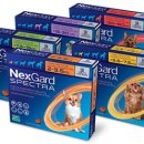 문타워약국 이미지