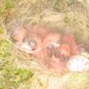 경서중학교 이미지