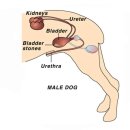 사직동물의료센터 이미지