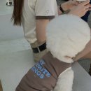 댕댕이꺼 이미지