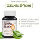 굿모닝바이오 이미지