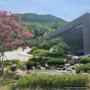 산수화민박 | 구례 하동 숙소 추천 켄싱턴리조트 후기 및 할인받고 예약하기