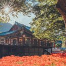 하단동186 이미지