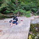 울주 피크닉 콘서트 유월의 밤 이미지