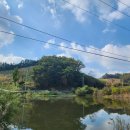 광시면010 이미지