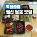 맥꿀꿀이