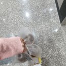 커피마마퀸경기광주 이미지
