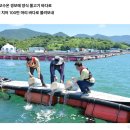 세상을보다어린이NIE | 여름방학 엄마표 NIE 활동지로 초등 문해력 키우기 - &#34;바다 물고기를 구라!&#34;