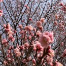 동춘당공원 이미지