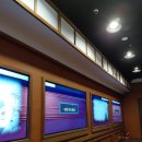 시립원삼어린이집 놀이터 | 대전의 유구한 역사와 문화의 기록을 담는 대전시립박물관으로