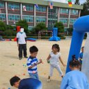 서룡초등학교(병설) 이미지