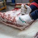 안중초롱길 이미지