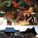 수원-1687 이미지