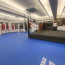 TBG 복싱&MMA 네이버블로그
