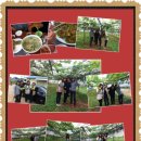 이숙자농장 이미지