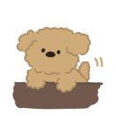 중앙동물약품 이미지