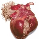 이로운 동물병원 이미지