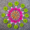 플라워아트 이미지