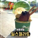 해밀동_해밀144동 | 세종 해밀동 디저트 맛집, 입안 가득 퍼지는 건강한 달콤함 ‘밀스젤라또 내돈내산 후기