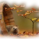 더이앤엠 주식회사 이미지