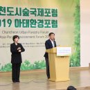 춘천시청대회의실 이미지