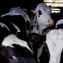 라온메디 이미지