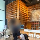 골프존파크파주출판단지점 | 서울근교 실내 아이랑 가볼만한곳 파주출판단지 지혜의숲 만족 후기