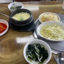 김명자 낙지마당 - 화성시 | 김명자 낙지마당