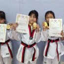 천명태권도장 이미지