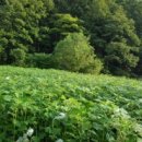 창성농장 이미지