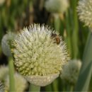 우리 동네 수채화 이미지