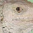 애완동물원 이미지