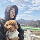 가평펜션 레릿고 이미지