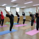 성인 요가 B 이미지