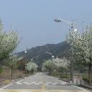 십이선녀탕주유소