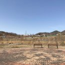 저류지수변공원 브런치