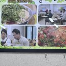 승소닭갈비 이미지