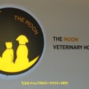 더문 동물병원 이미지